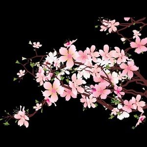 Meet your Posher, Yvette